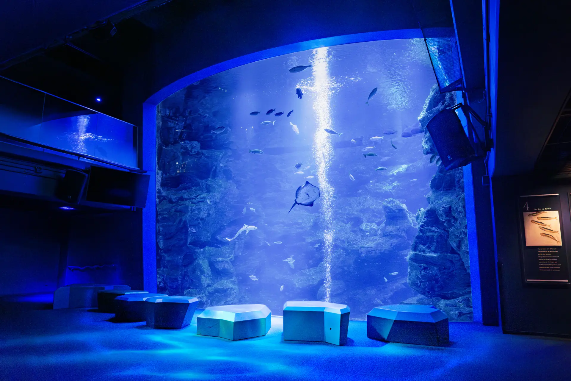 見て、触れて、体験して、遊びながら学べる、内陸型の大規模水族館