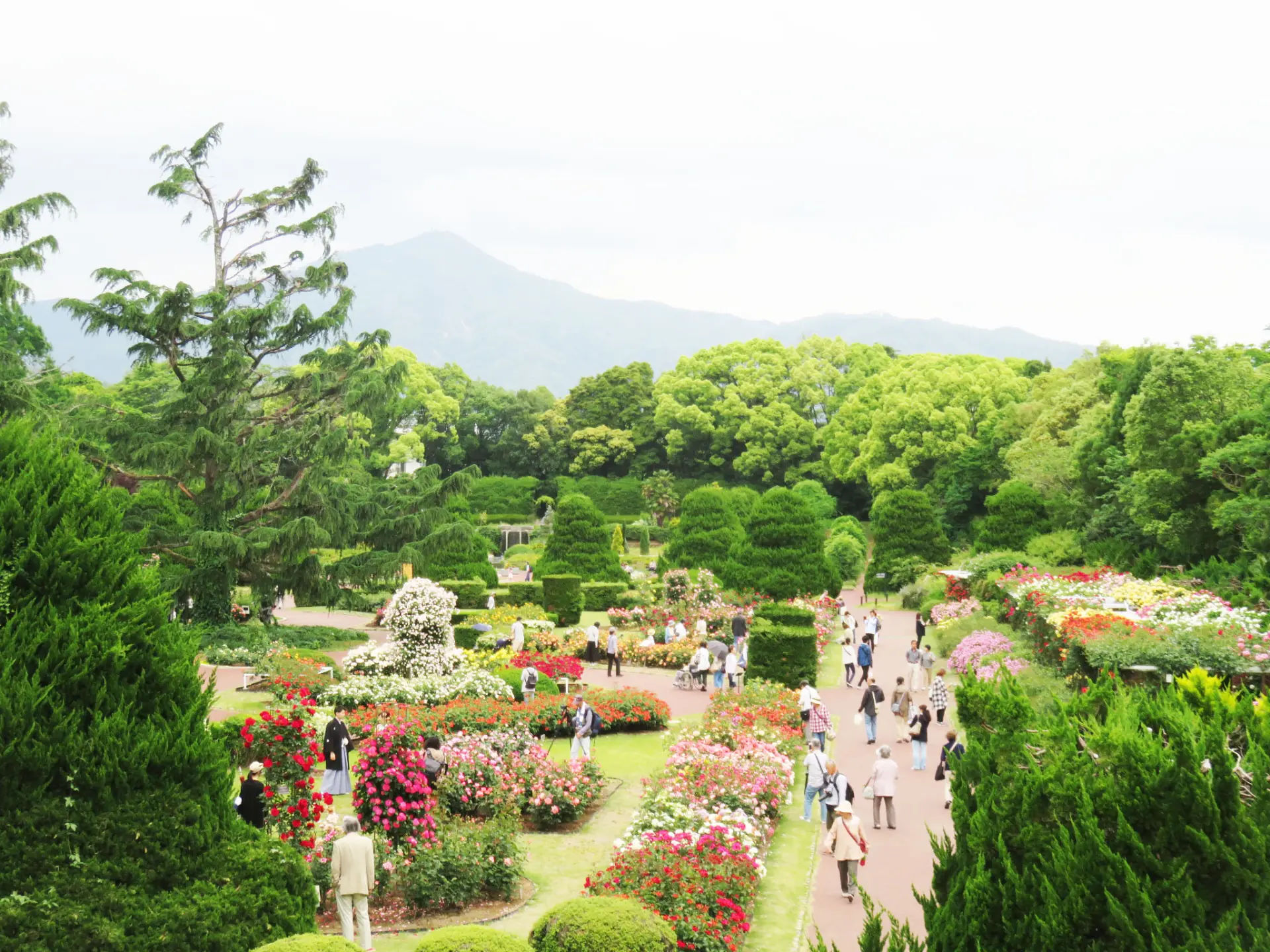 約100年の歴史をもつ、国内最古の公立総合植物園