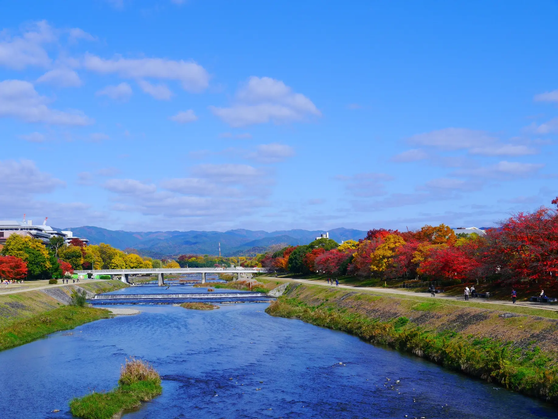 川の両側に広がる町並みは、京都を象徴する風景