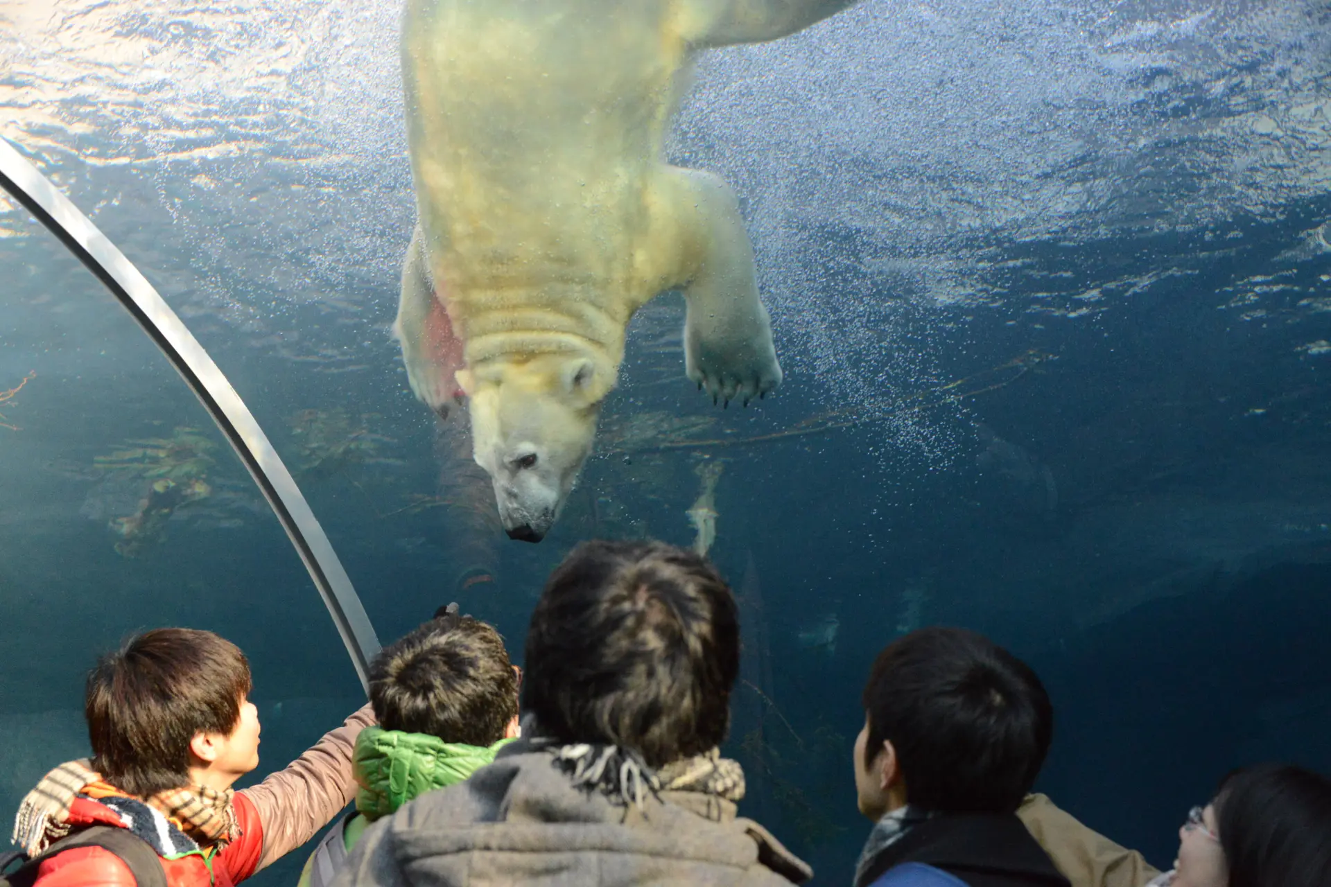 人気の動物が勢揃いする、北海道初の動物園
