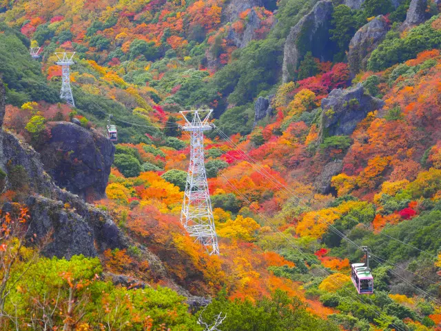 The dramatic changes in scenery are a unique appeal of ropeways not found on trains.