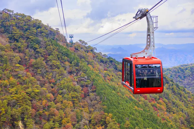 Routes without towers are relatively resistant to wind.