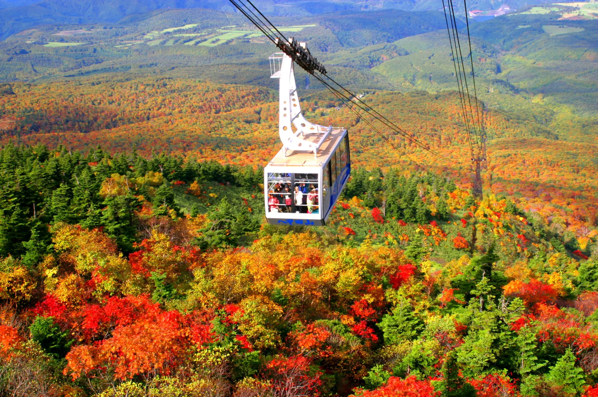 秋の紅葉シーズンは、眼下一面に絶景が広がる