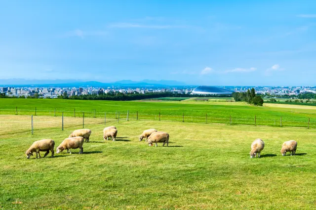 In Hokkaido, people began eating lamb as a result of sheep farming.