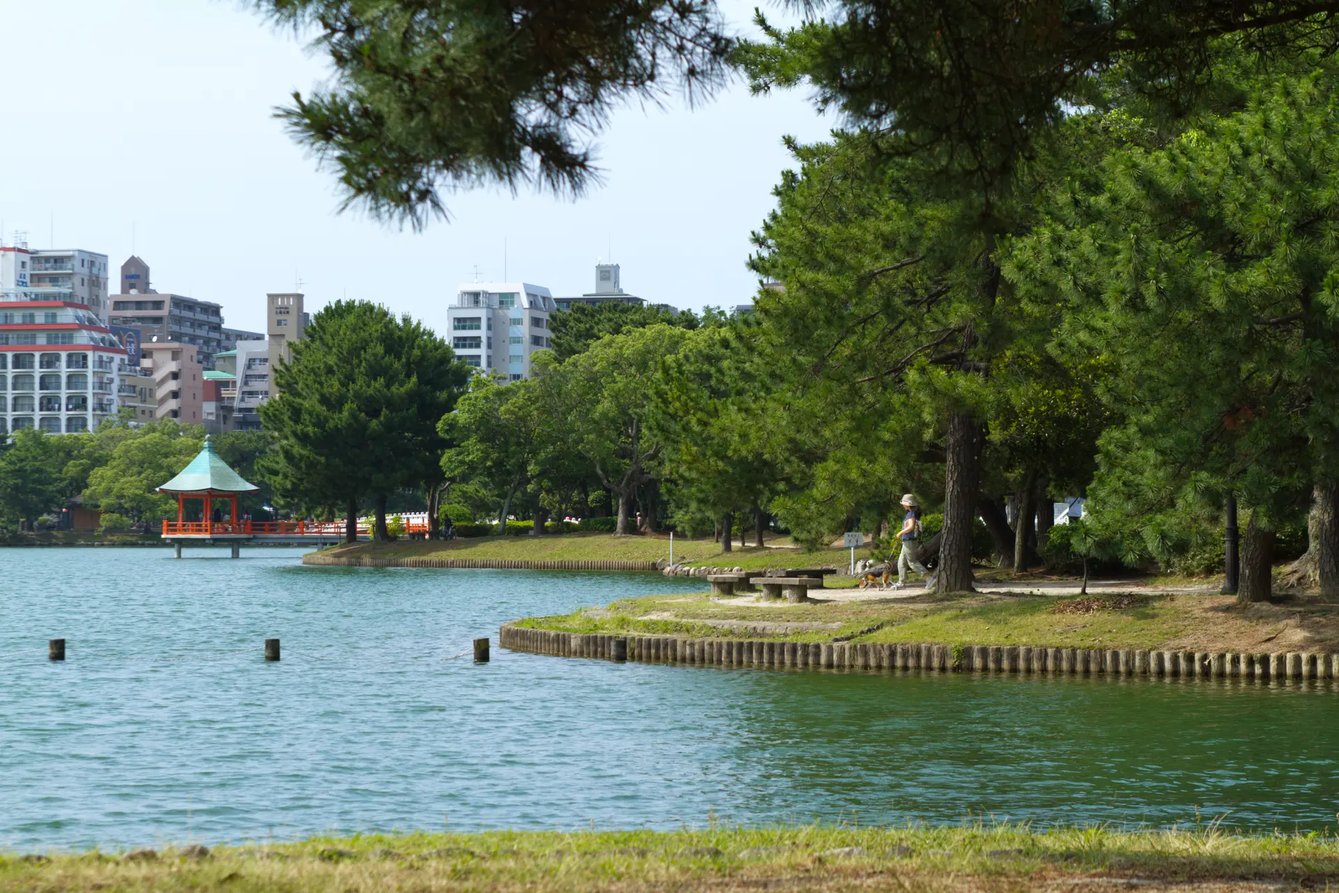 A waterscape park rich in nature, beloved by Fukuoka citizens