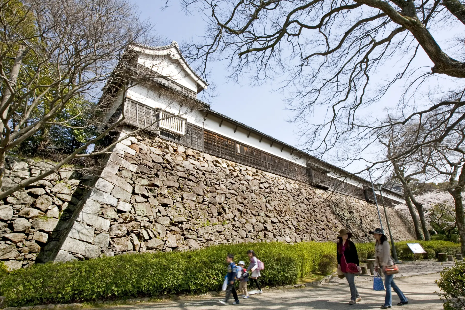 A green park beloved by Fukuoka citizens, known as a cherry blossom spot in spring