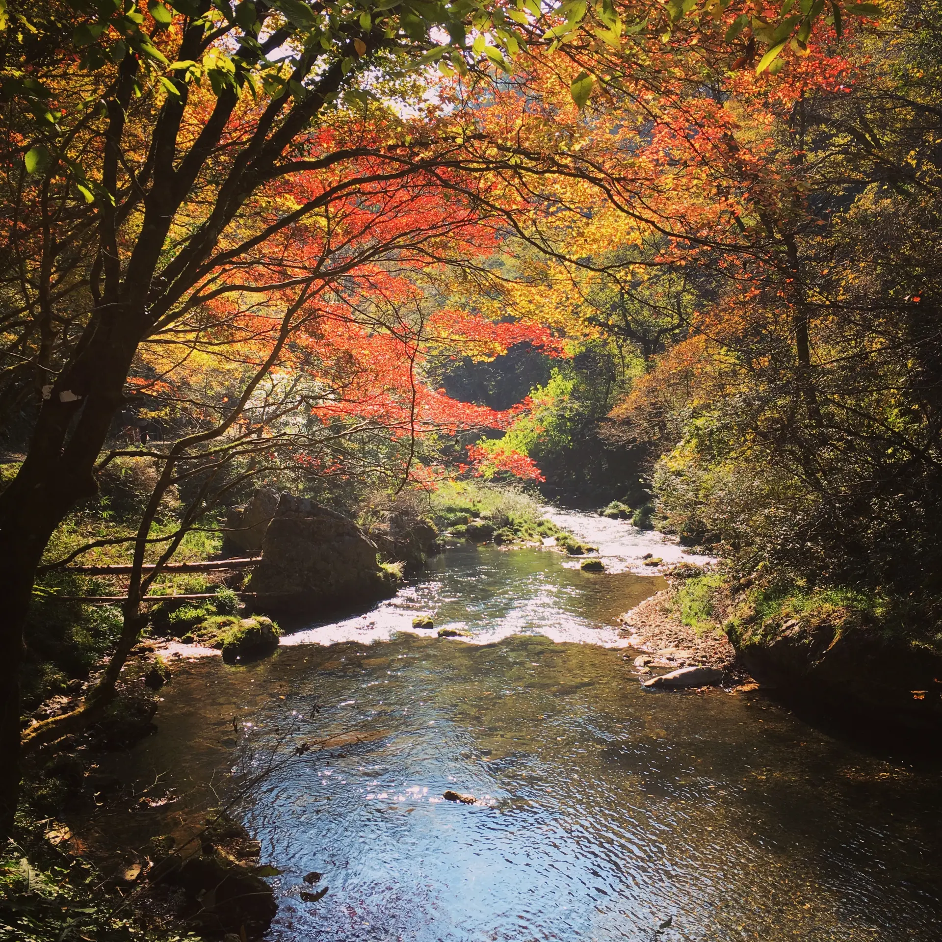 自然が造り出した神秘的な絶景を堪能