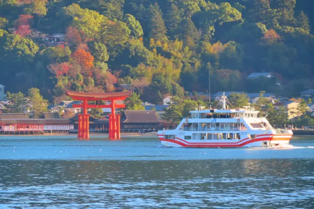 帶孩子暢遊宮島，周全的行程規劃與充分的準備必不可少