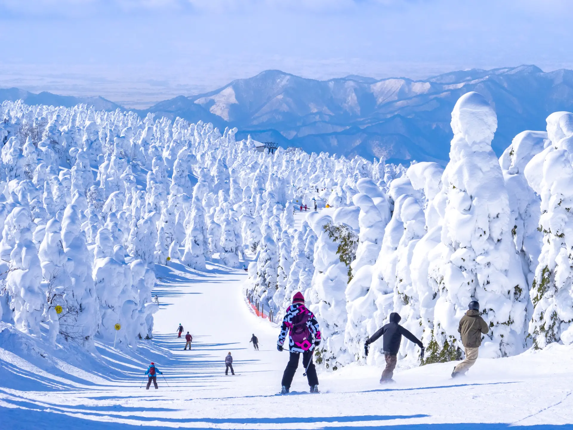 なかには樹氷を間近に望めるスキー場も