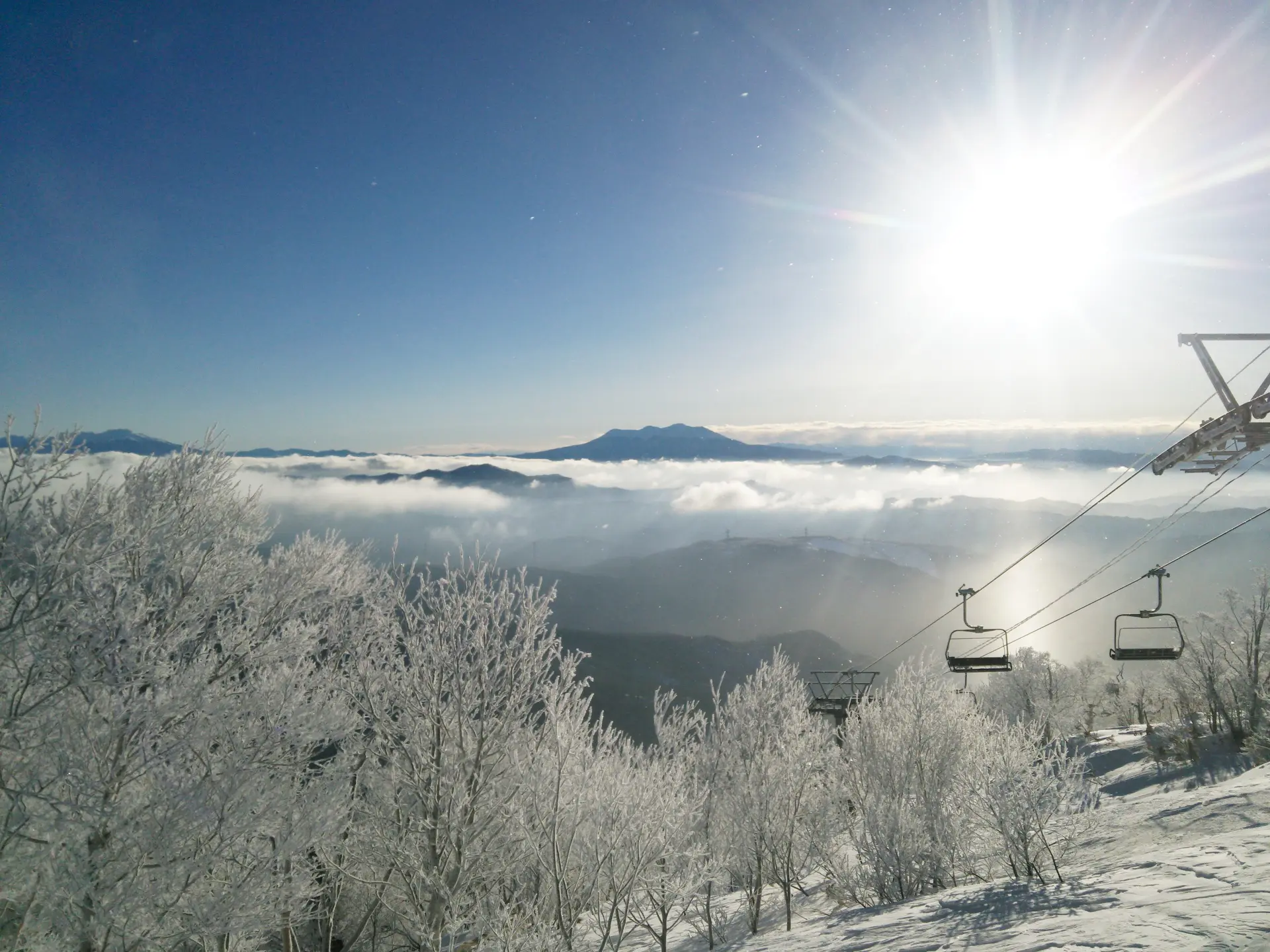 ステップアップゾーンや西日本最大級の雪遊びエリアで初心者＆キッズも楽しめる。