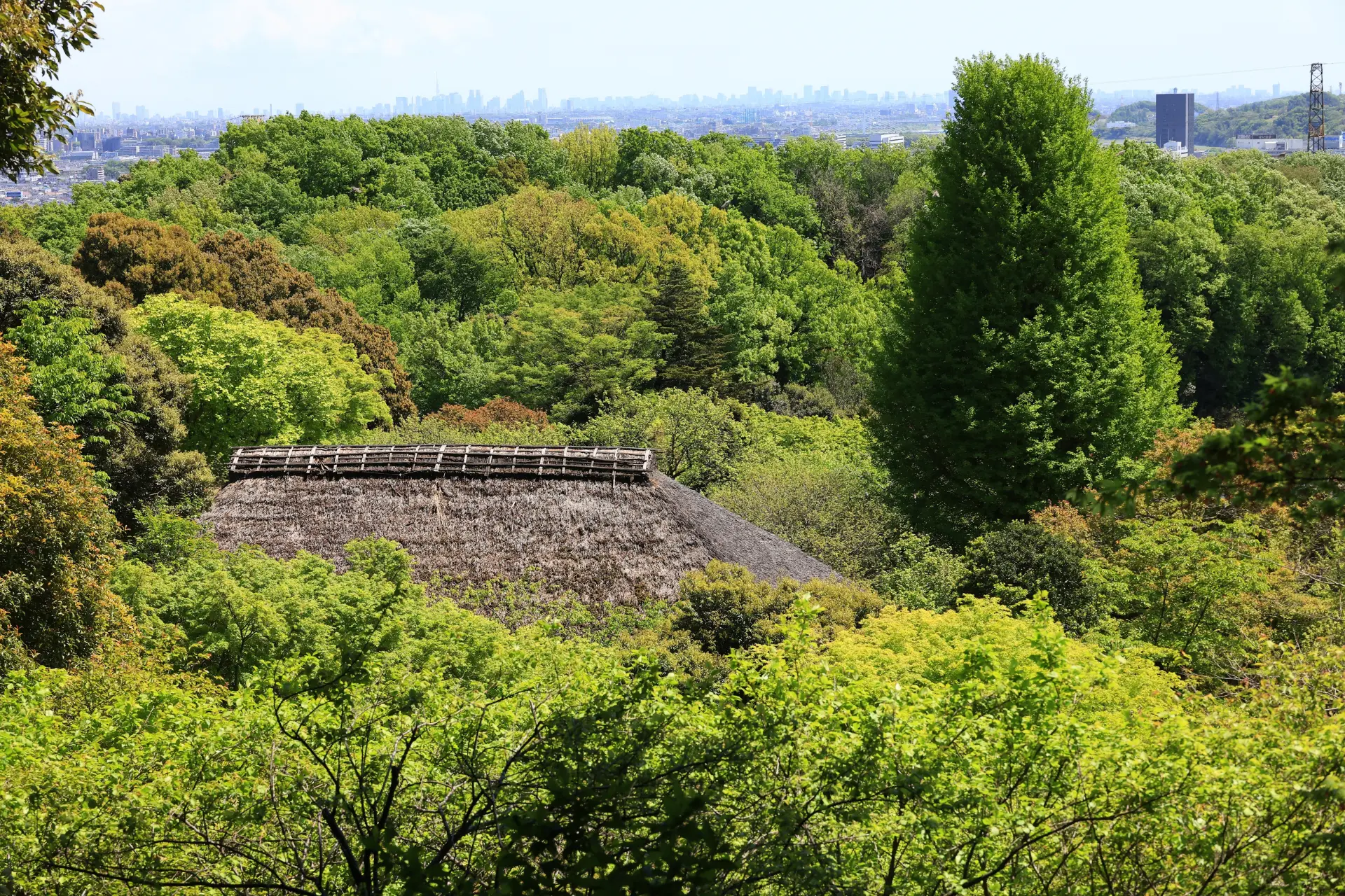【京王百草園の楽しみ方】東京・日野の花と眺望の名所で四季を愛でる