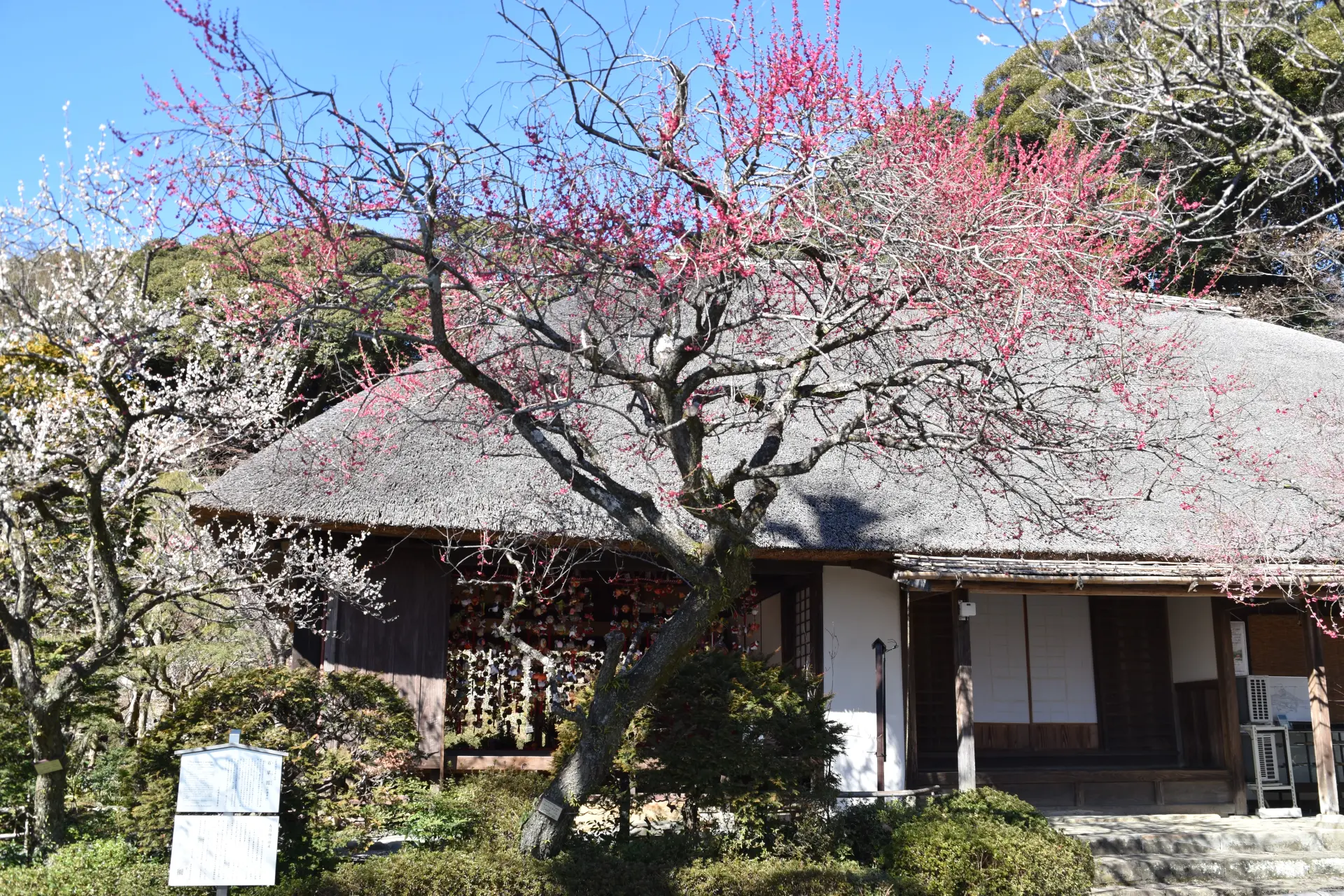 江戸の建築様式である茅葺き屋根を用いた「松連庵」