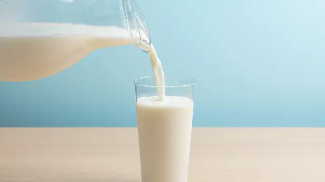 The Ultimate Guide to Japanese Milk: Why It’s So Delicious and How to Enjoy It