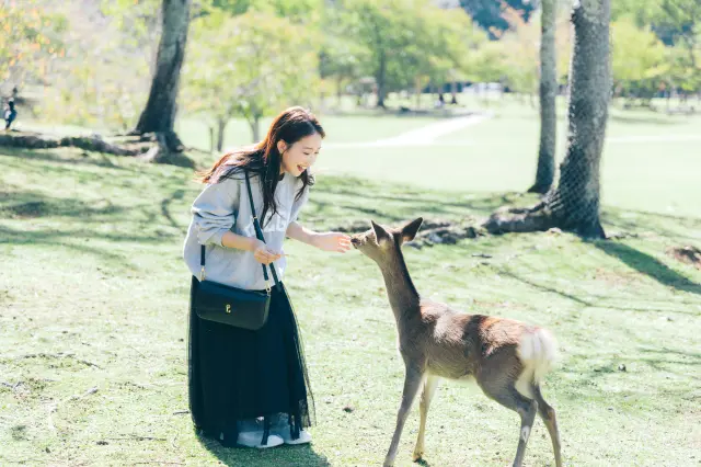 【奈良の人気デートスポット15選】古都の風情と自然をゆっくり楽しむ旅へ
