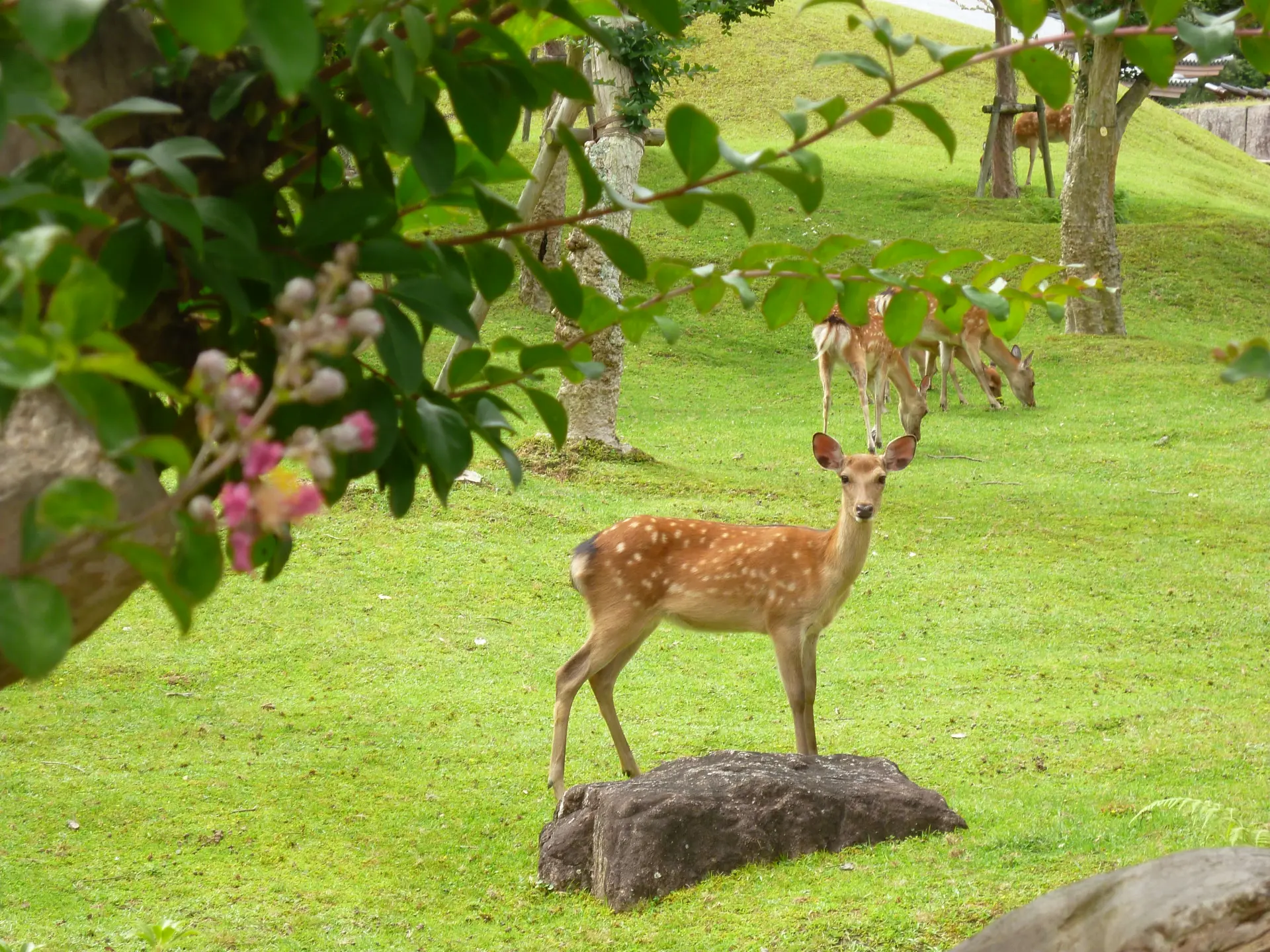 日本を代表する公園