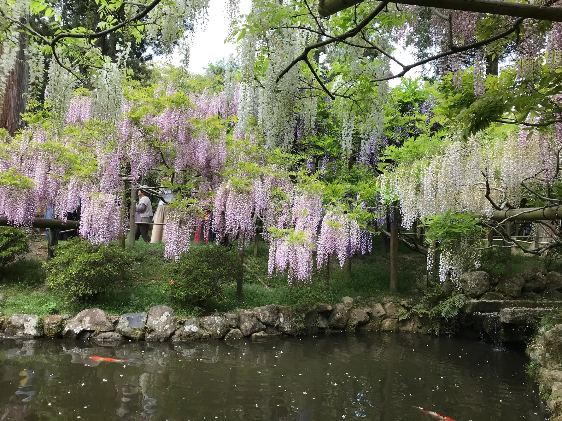 万葉集の地 古都奈良にある、万葉集に詠まれた植物を植栽展示する日本最古の萬葉植物園
