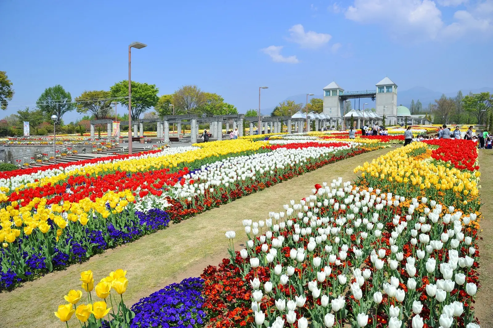 1年中さまざまな花が楽しめる、広大なフラワーパーク