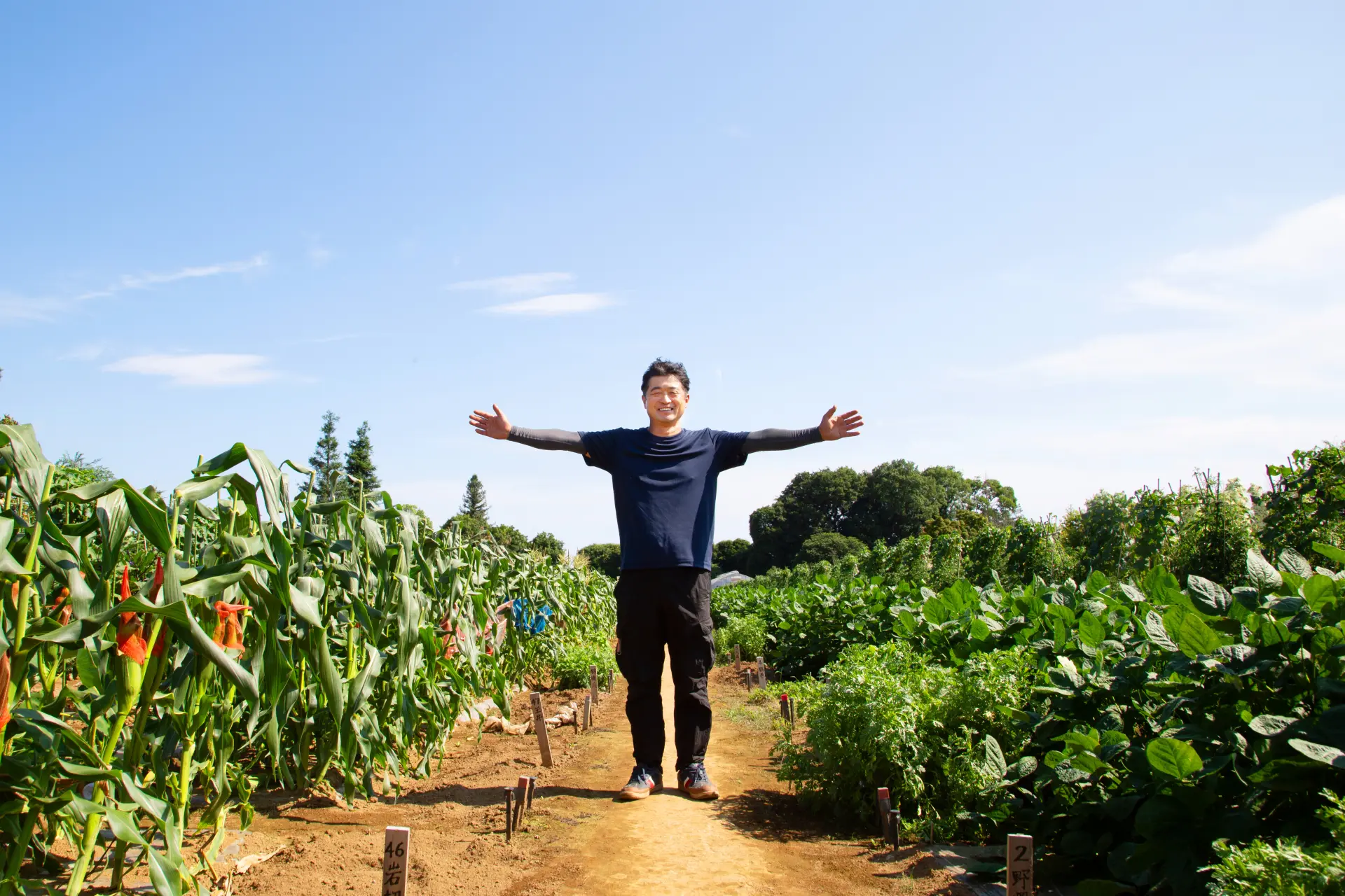 一塊田地甚至可能種植近30種夏季蔬菜!