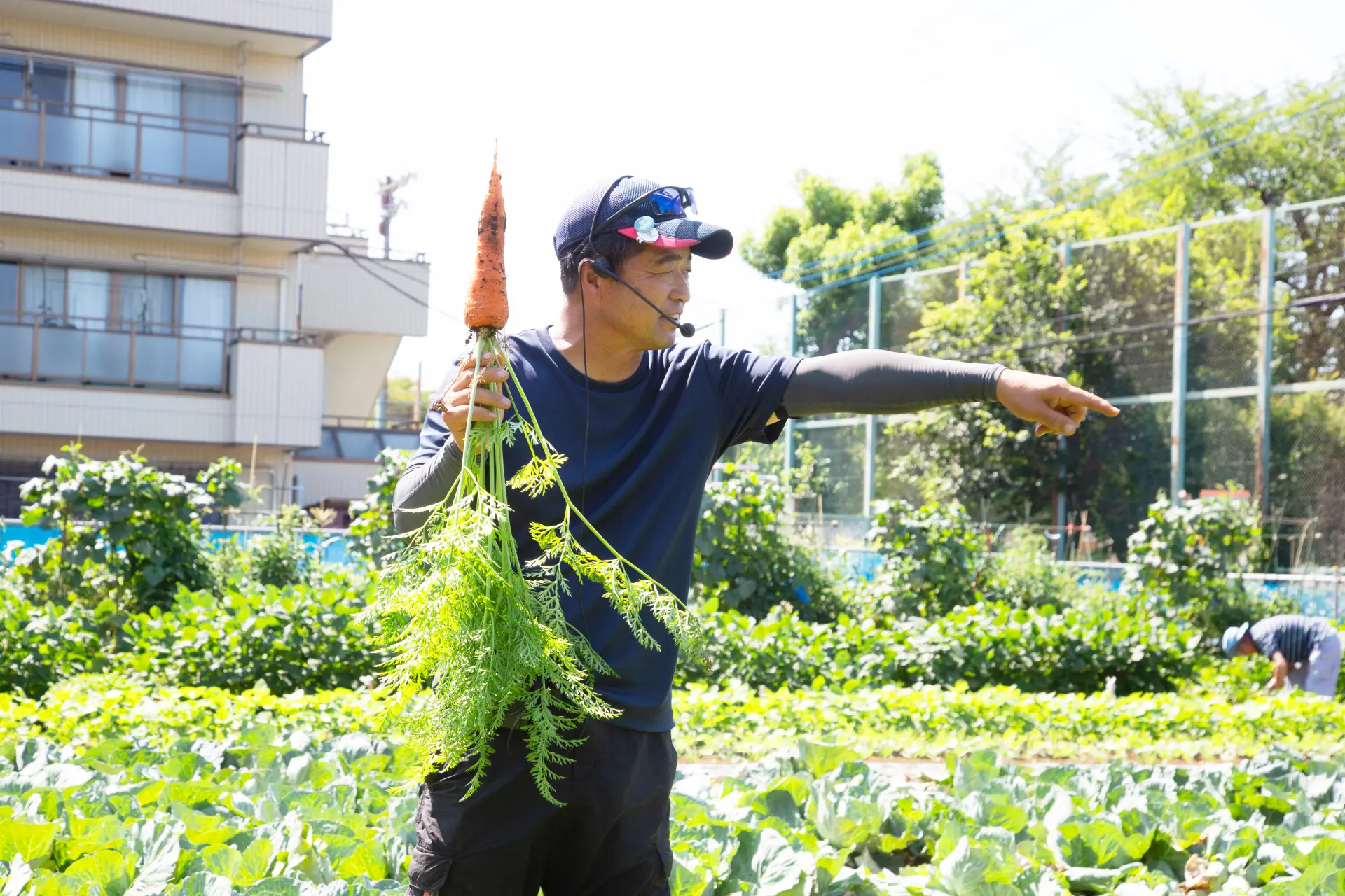 在體驗農園中講解採收方式的豐泉先生