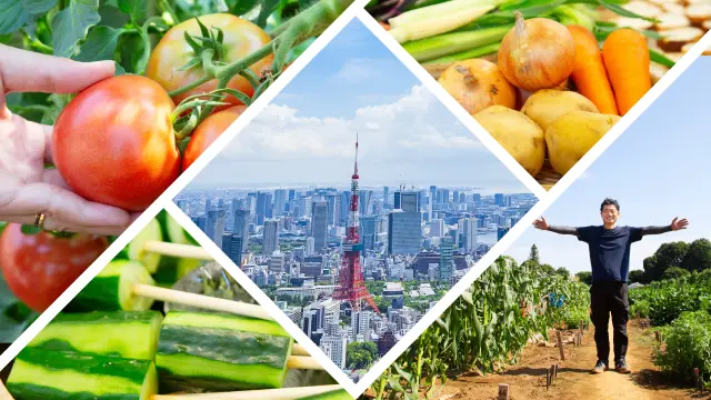 Agriculture Thrives Even in Tokyo, the Metropolis! The Hidden Appeal of “Tokyo Grown Vegetables”