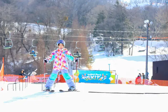 Debut Park for beginners