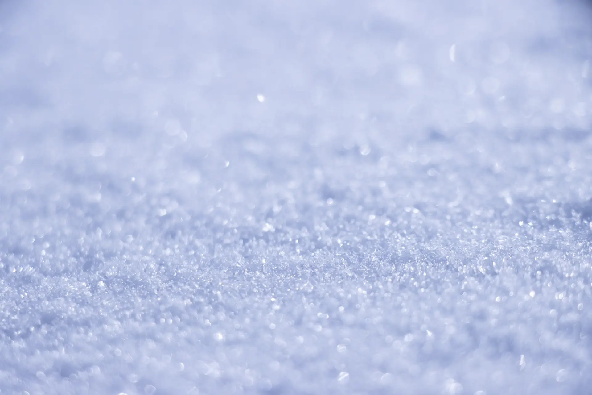 雪质干爽轻盈的日本粉雪被众多海外滑雪爱好者誉为「JAPOW(Japan Powder Snow)」