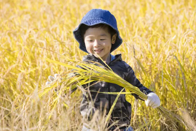季節と日本の食文化を感じられる体験を