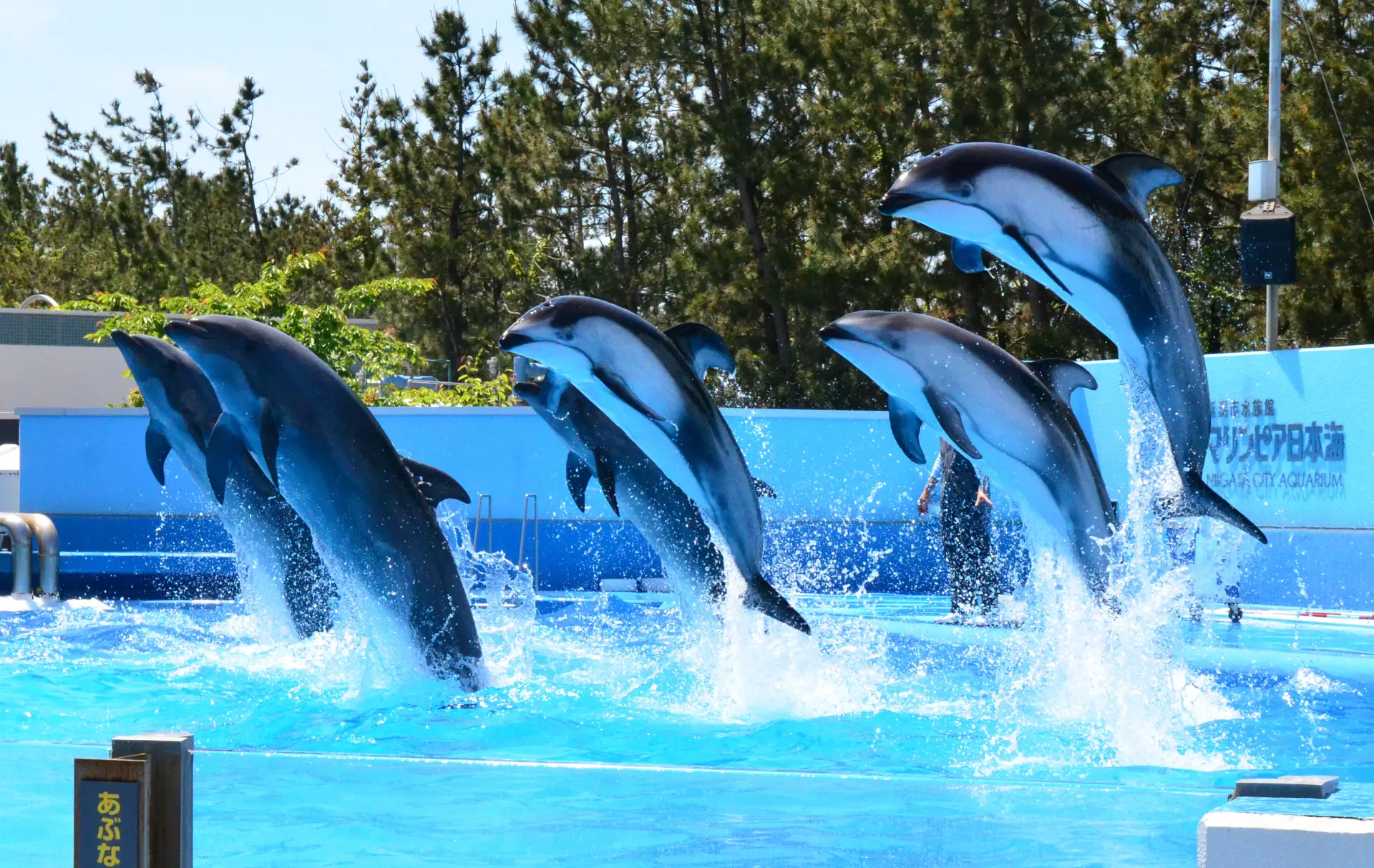 楽しみながら学べる水族館