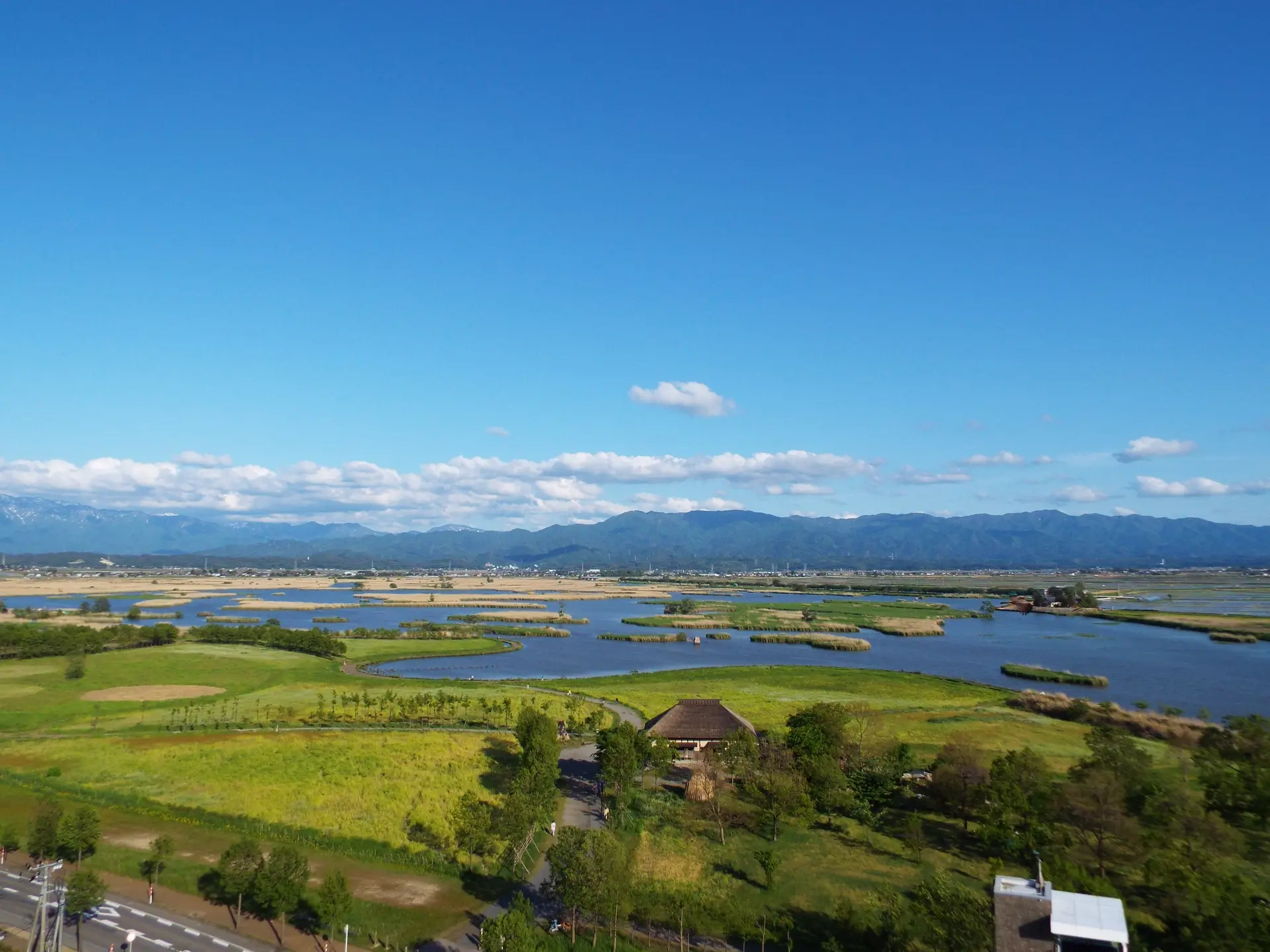 鳥好き、虫好き、花好きが集まる自然豊かな水辺の楽園