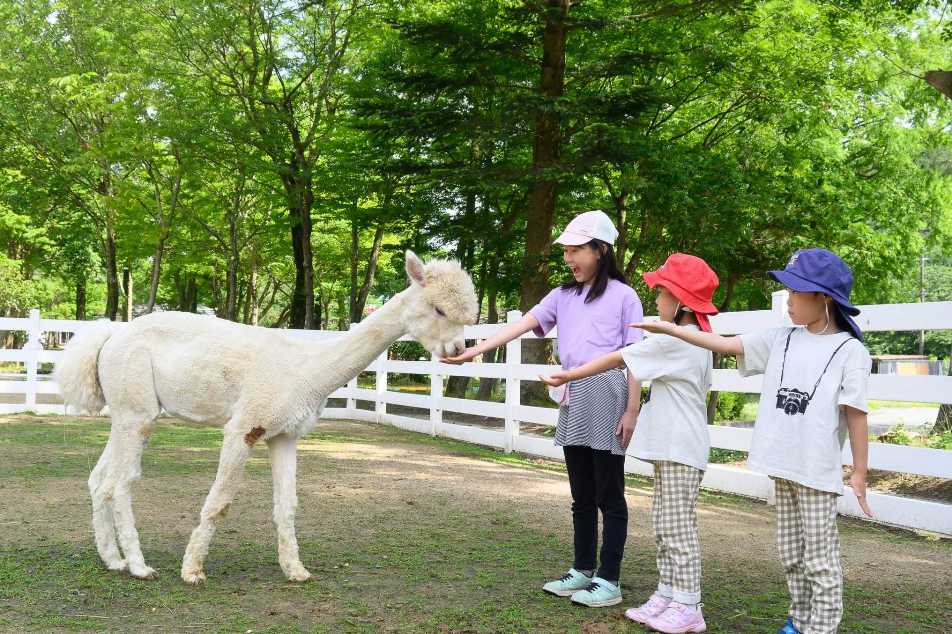 小動物園と遊園地が融合！一日中楽しめるレジャーパーク