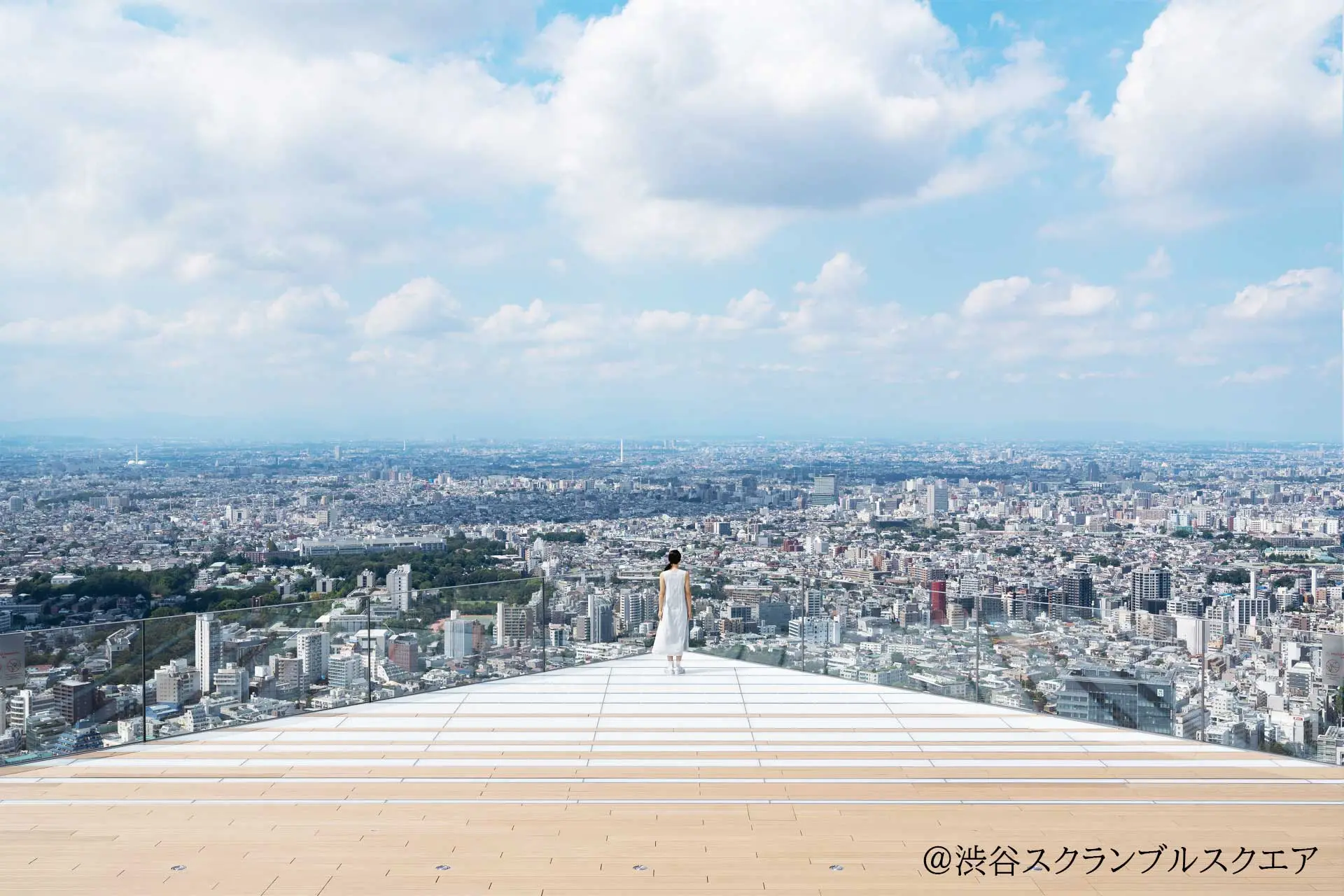 東京のランドマークを一望できる