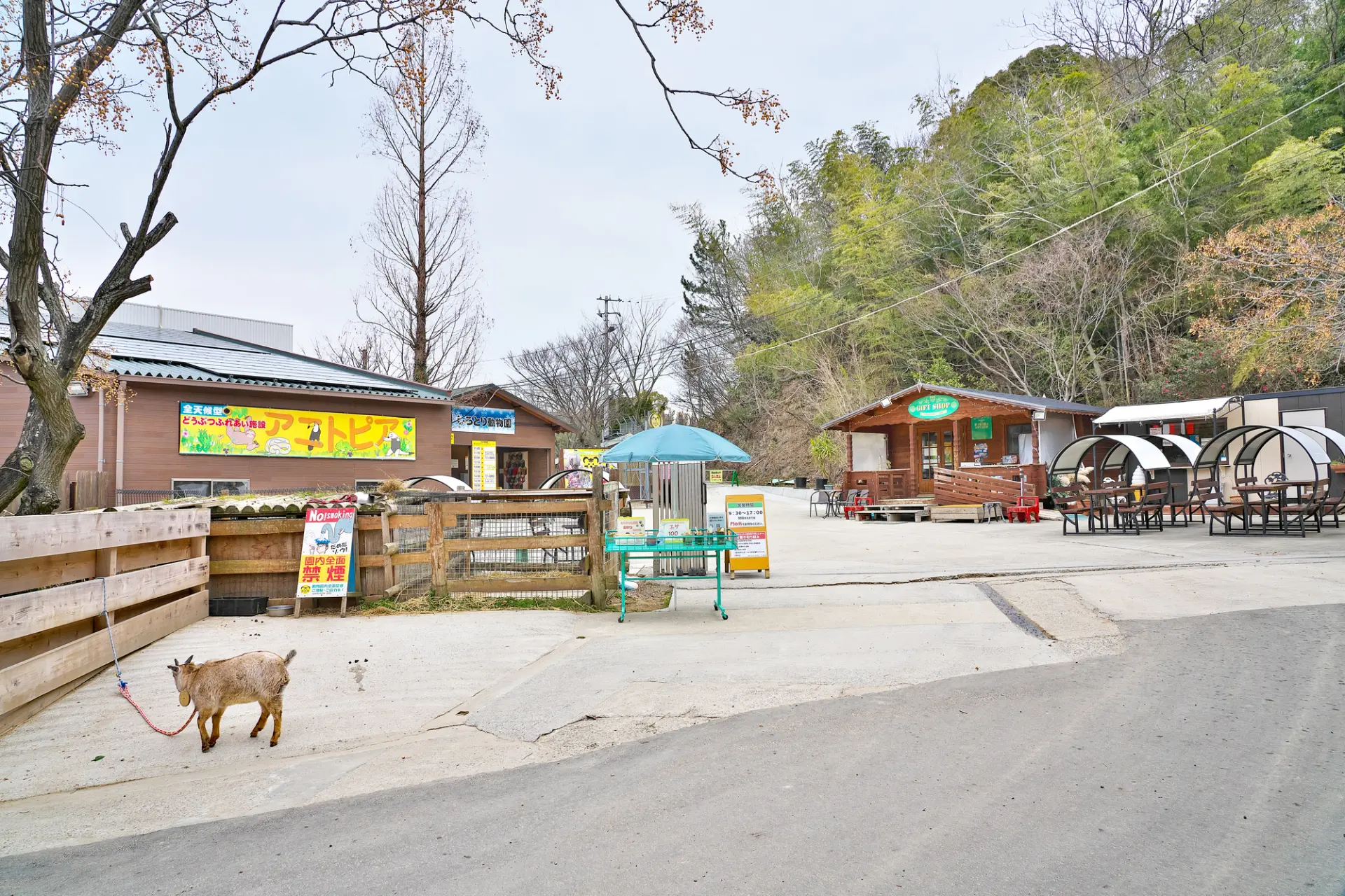 園内を小動物が自由に歩き回り、触れ合いを楽しめる動物園