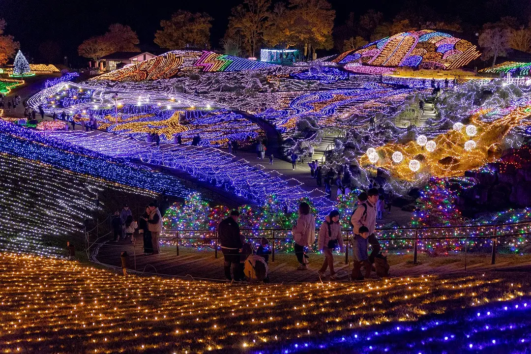 結合大自然山林與燈飾打造出璀璨迷人的燈飾活動