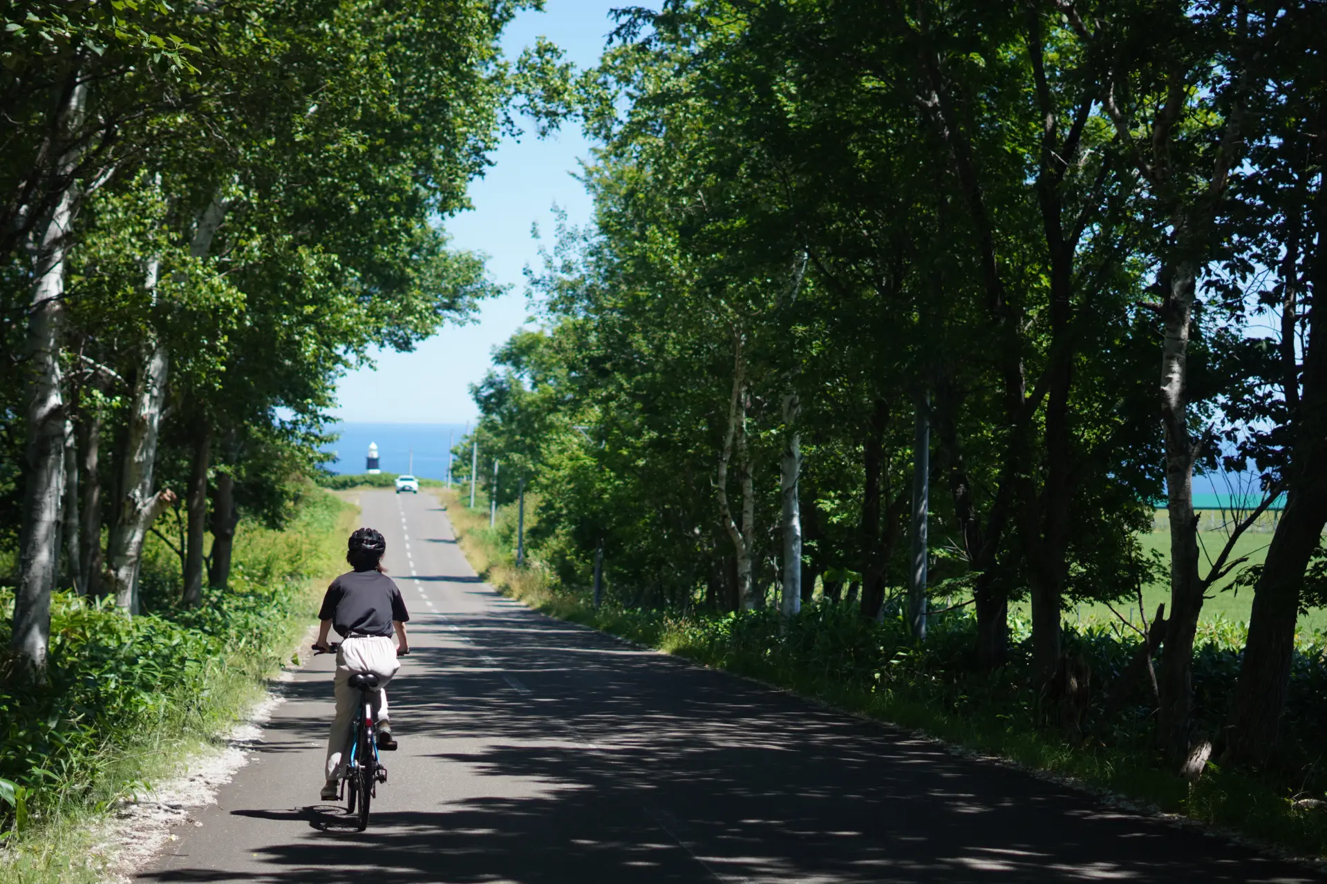With an electric-assist bicycle, even the uphill climbs are effortless.