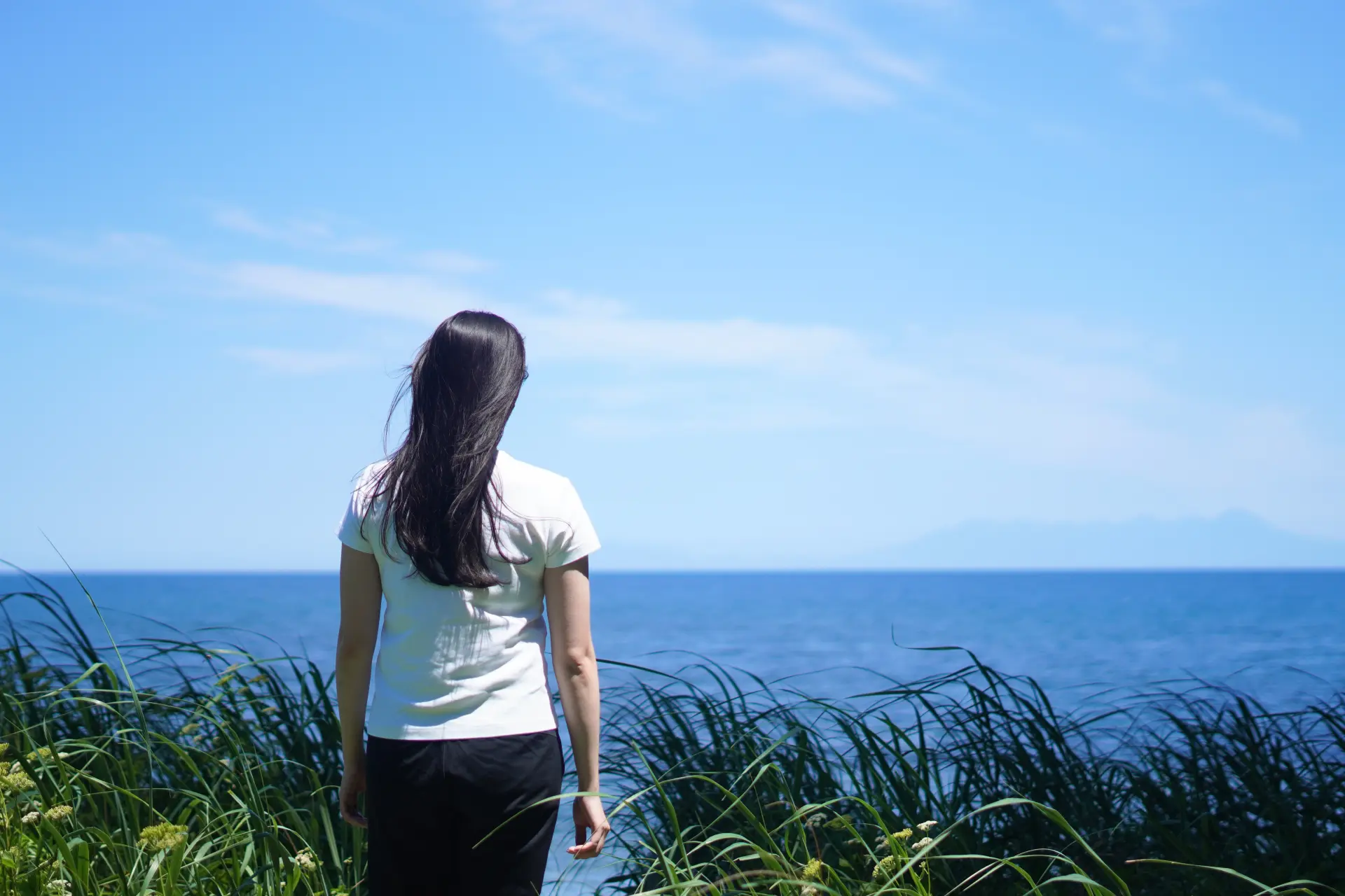 A hidden beach awaits beyond the grassy path.