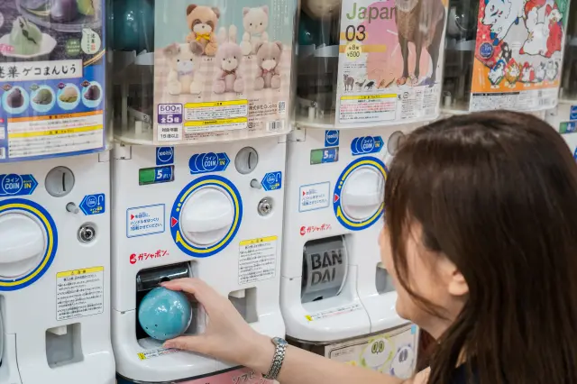 投入硬幣，機器就會隨機掉出一個商品