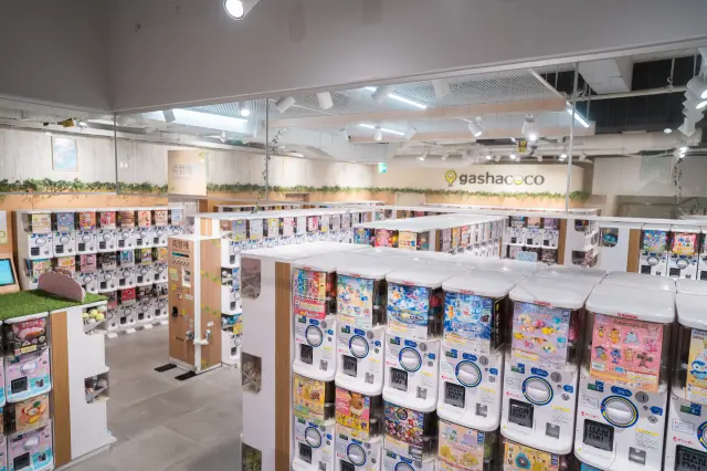 店內環境明亮，女性一個人也能輕鬆進店