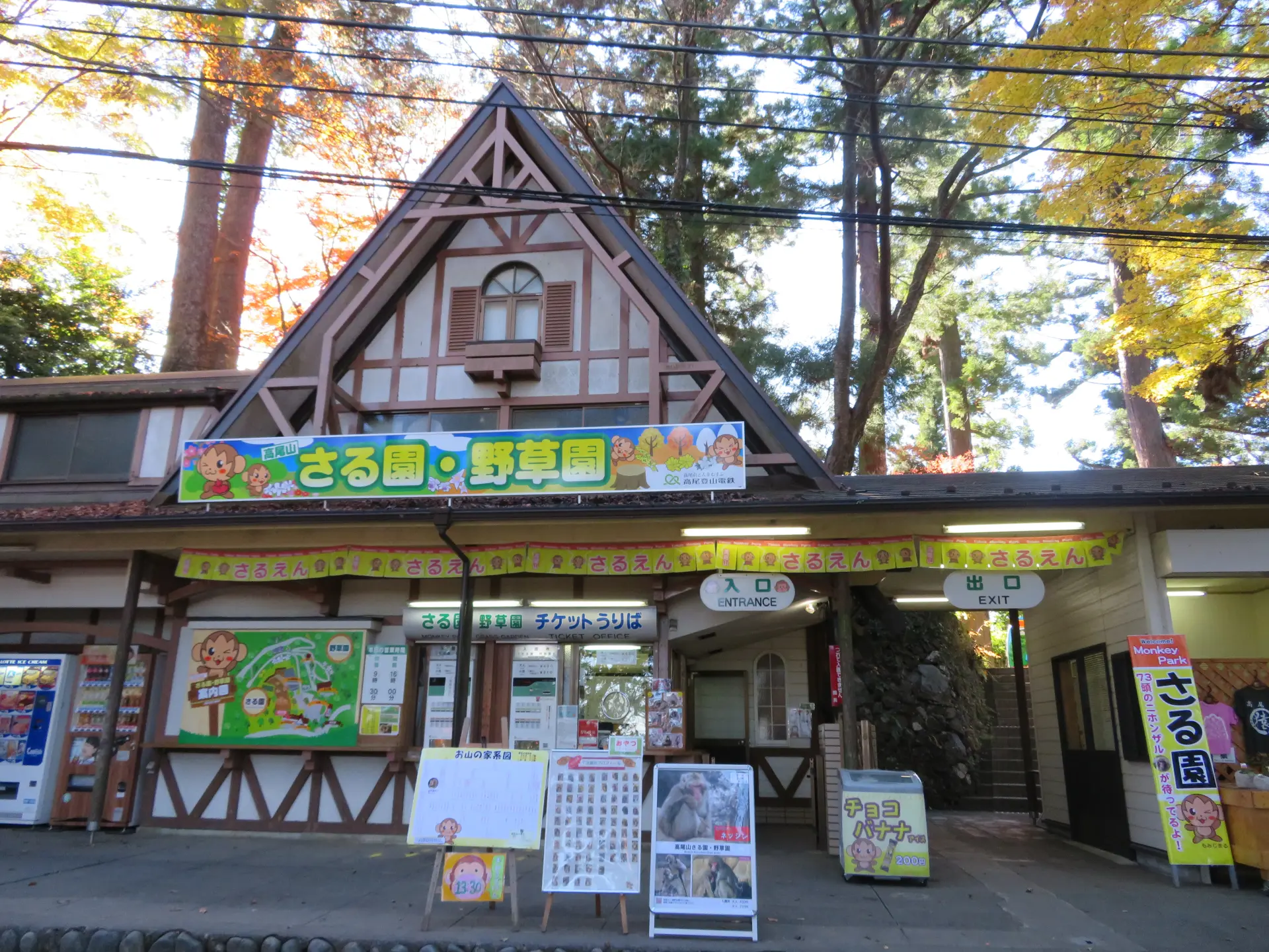Immerse yourself in a healing environment with a troop of Japanese macaques and over 300 species of wild plants.