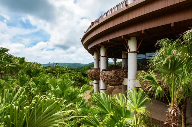 やんばるの森と融合したテーマパークだ