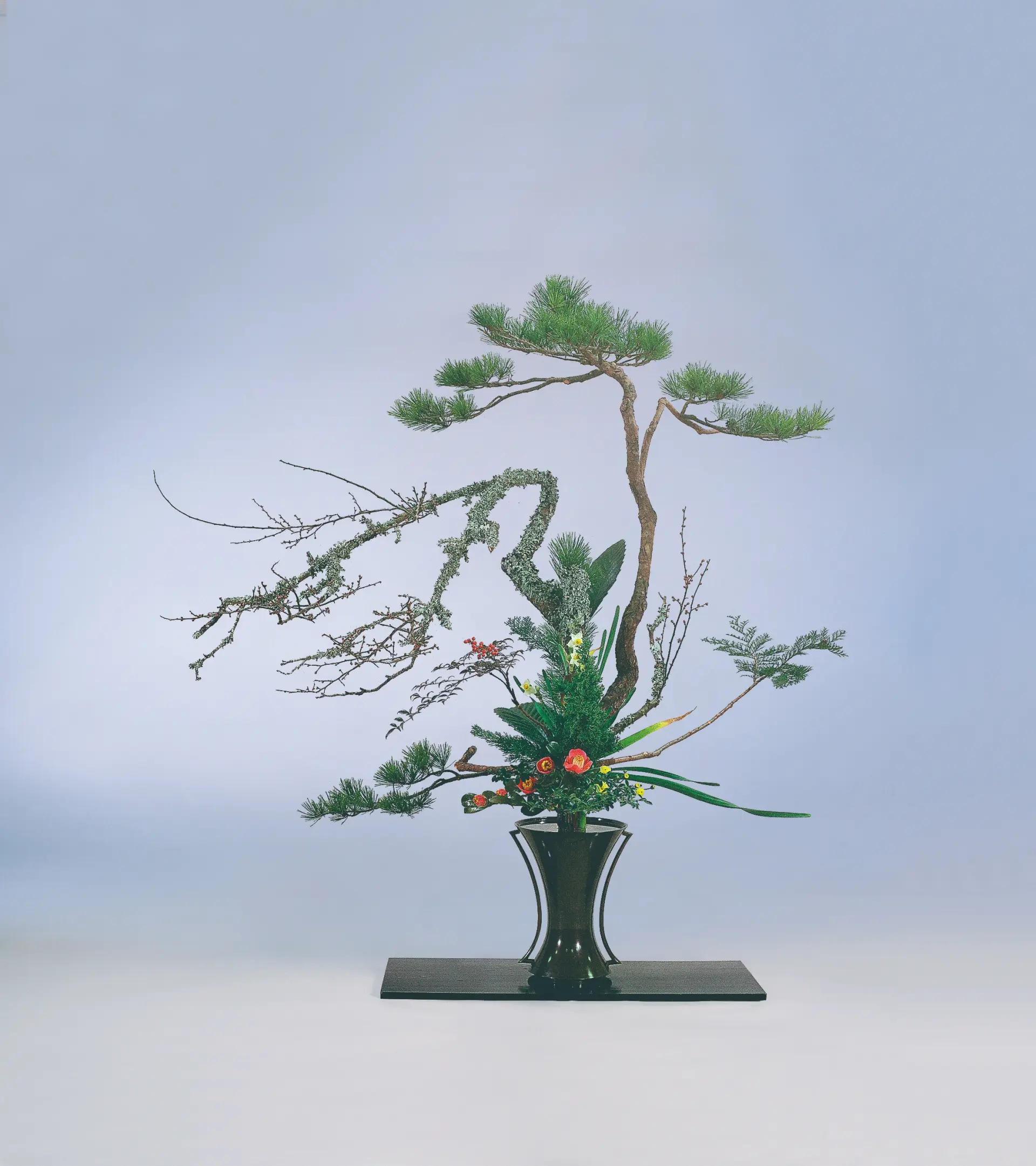 立花正風体