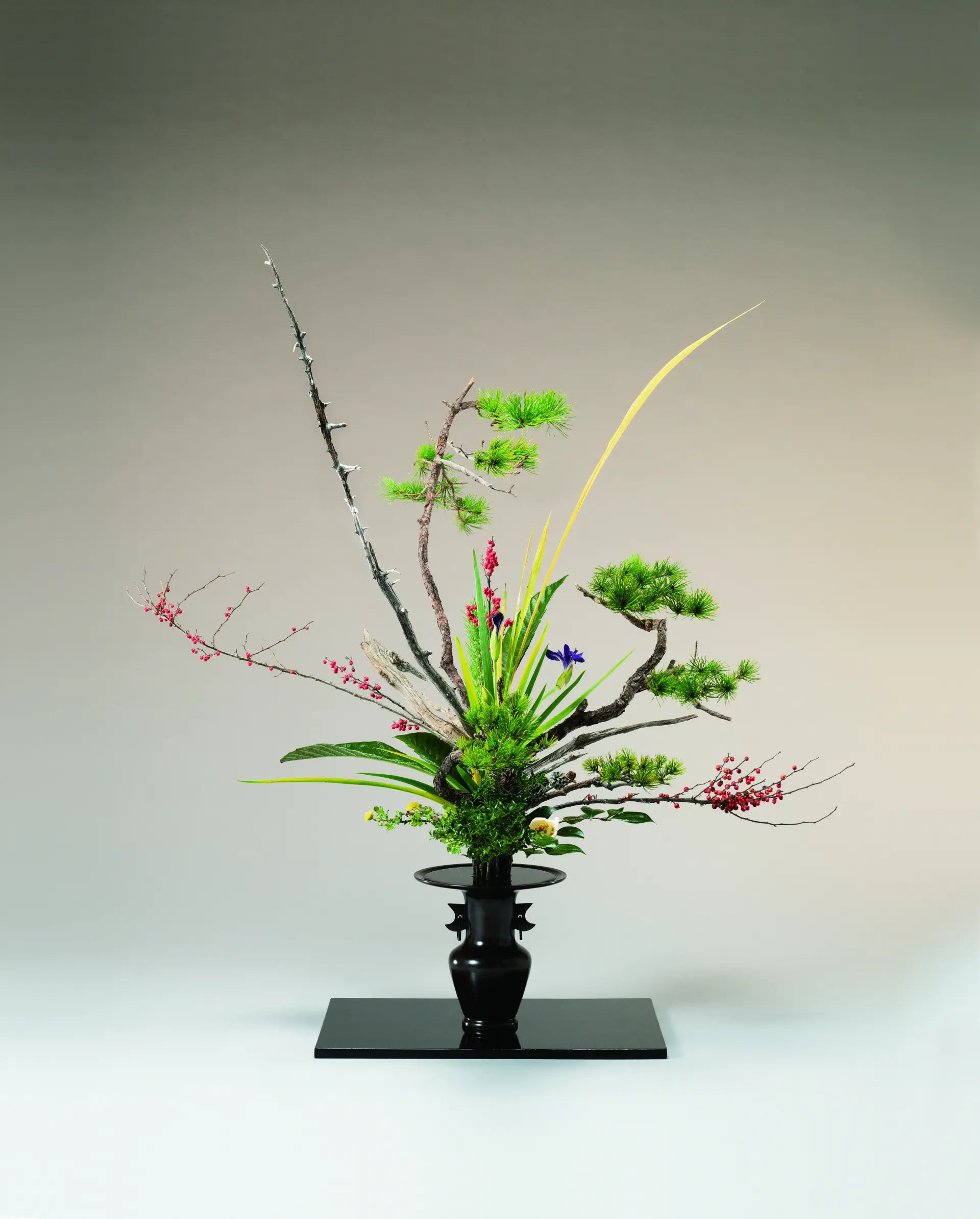 立花正風体