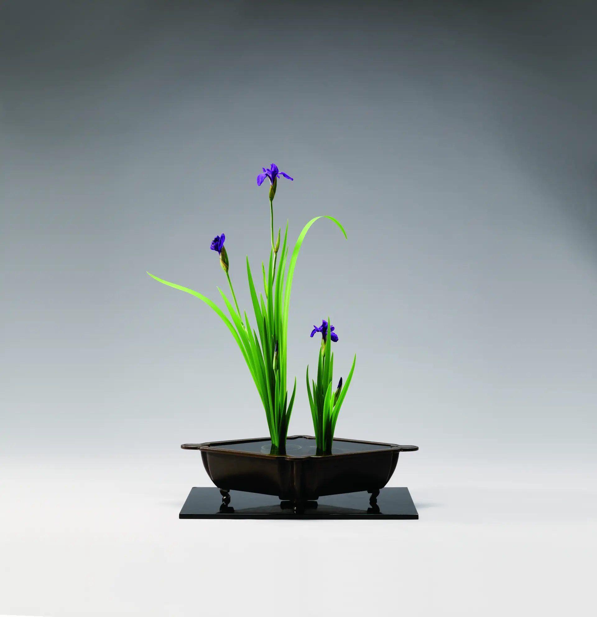 生花正風体