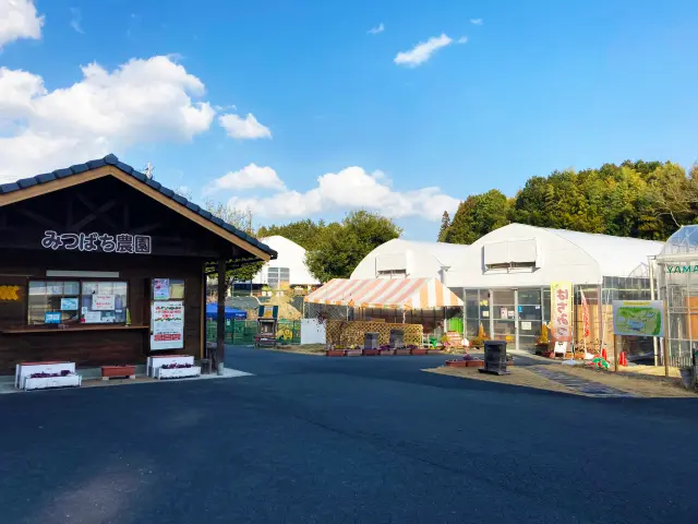【山田みつばち農園ガイド】“食べて・学んで・遊べる”体験型農園