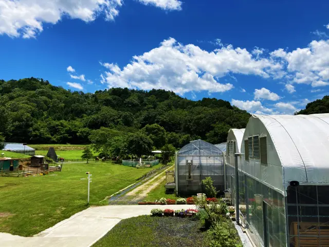 位處豐饒的自然環境中的「山田養蜂場蜜蜂農園」