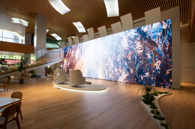 只需觀看就能變美的影像體驗「Beauty Retreat Theater」