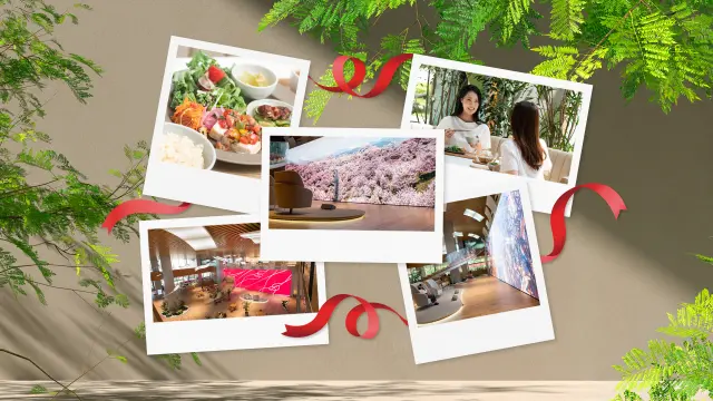 由資生堂打造的「Shiseido Beauty Park」完整指南