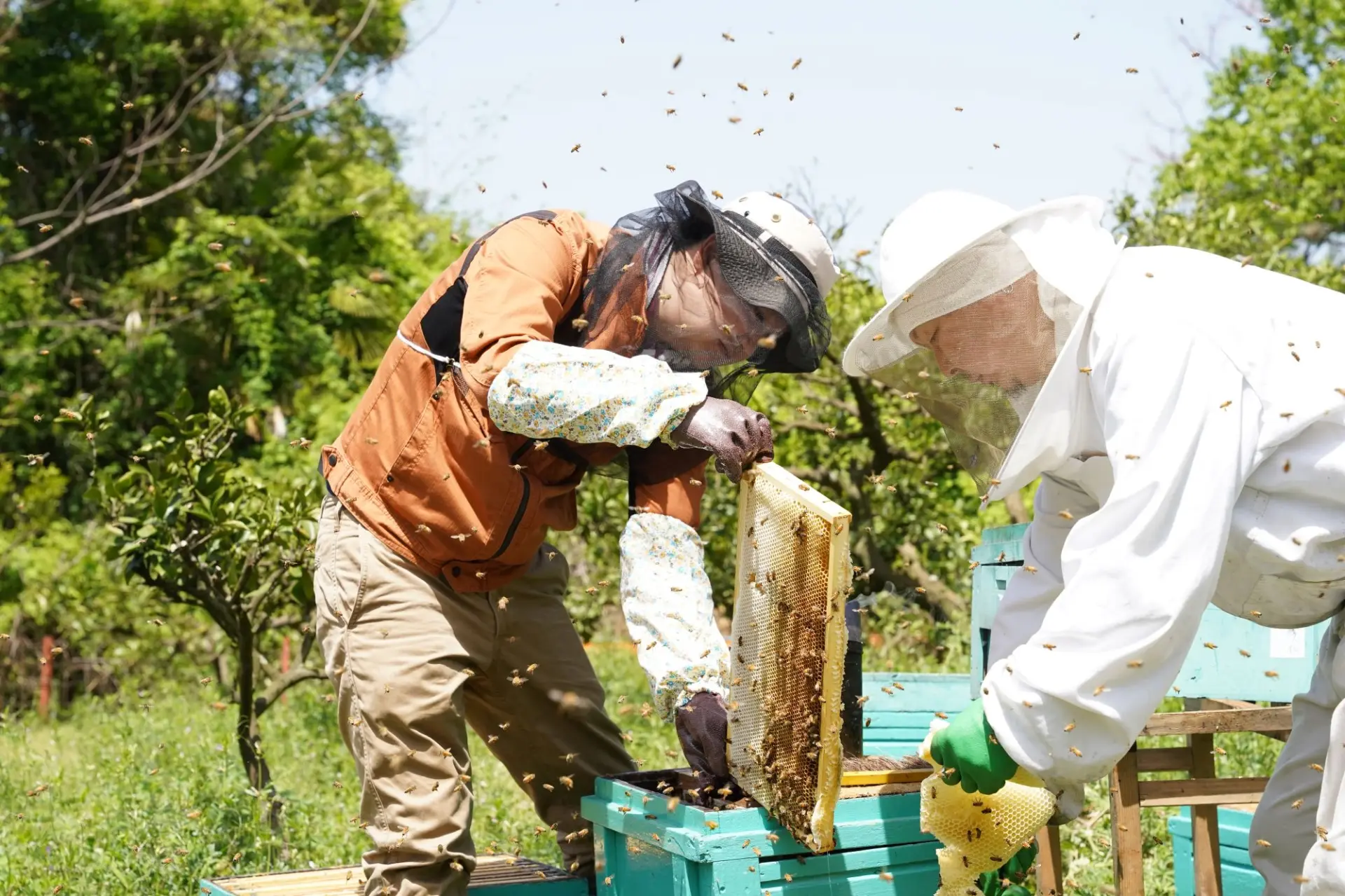 養蜂家を訪ねる市川さん