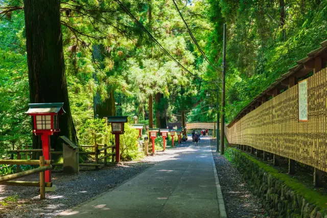 高尾山の登山コースガイド
