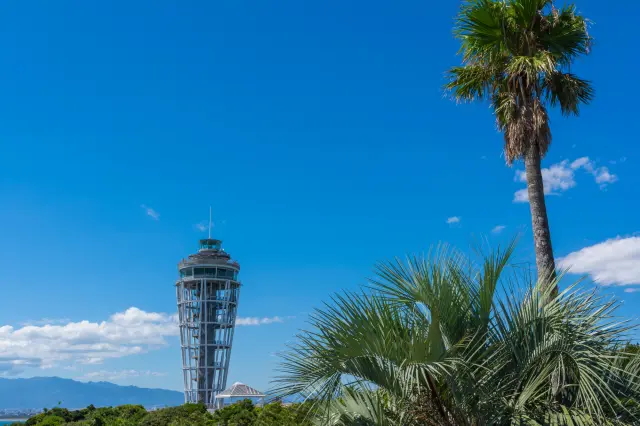 江の島の人気観光スポットが割引になる特典も嬉しい