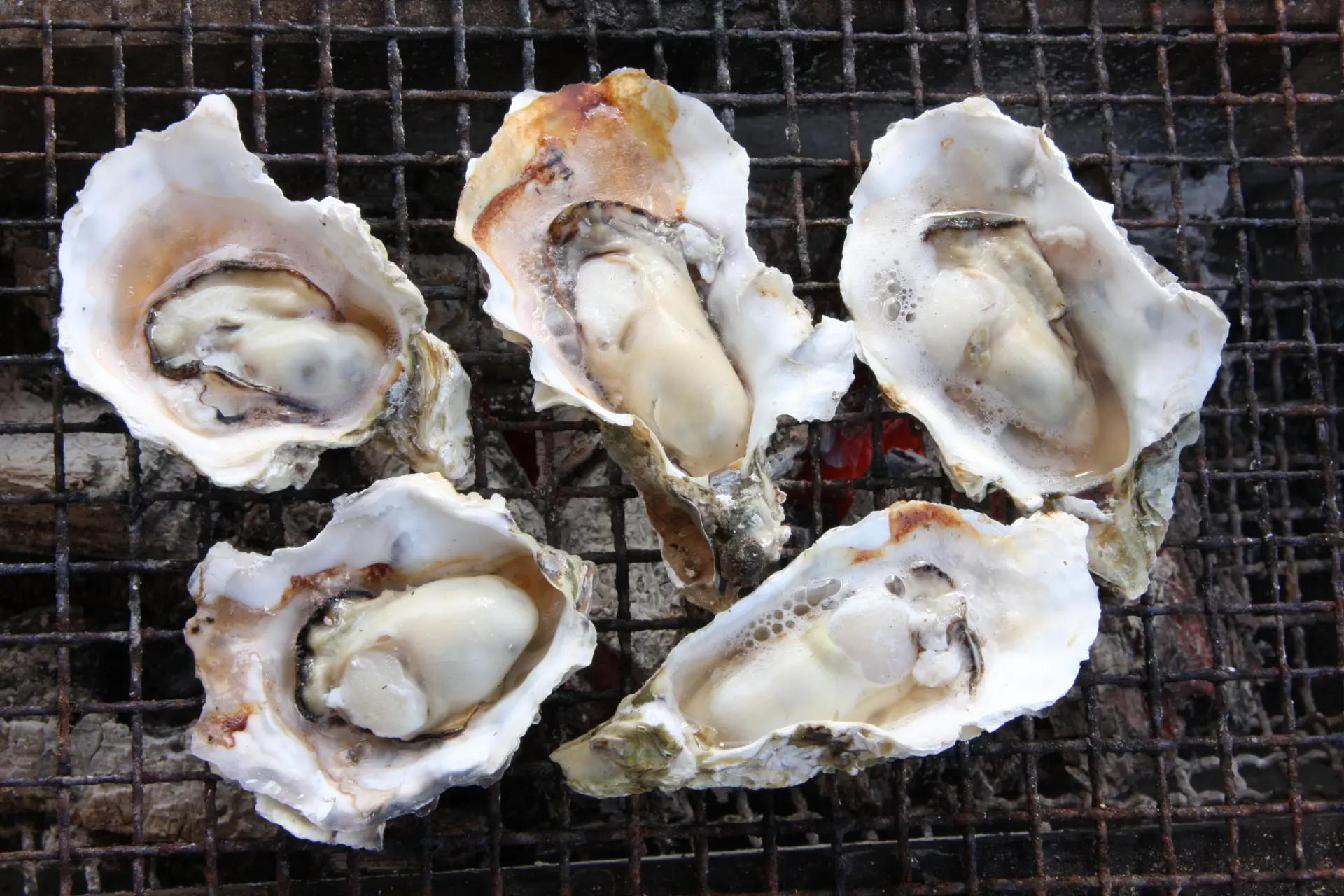 豪快に炭火で焼いて、熱々を頬張ろう